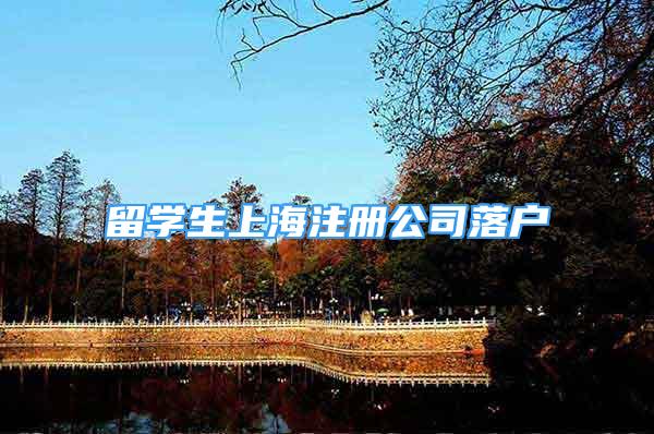 留学生上海注册公司落户