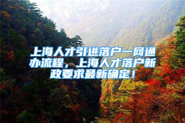 上海人才引进落户一网通办流程，上海人才落户新政要求最新确定！