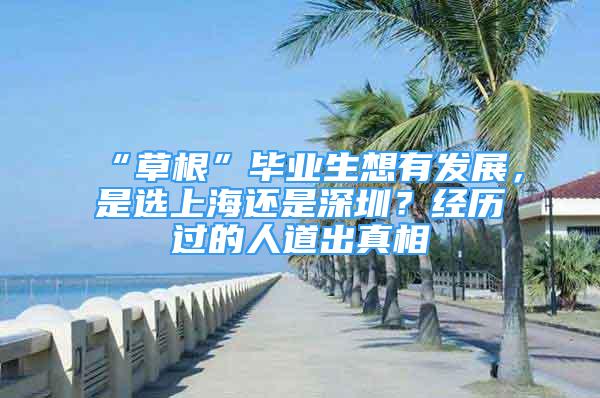 “草根”毕业生想有发展，是选上海还是深圳？经历过的人道出真相