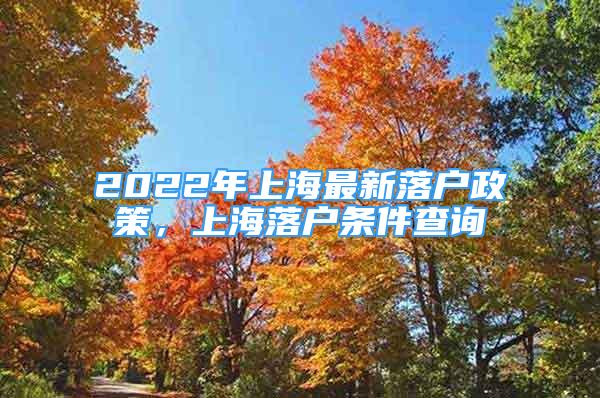 2022年上海最新落户政策，上海落户条件查询