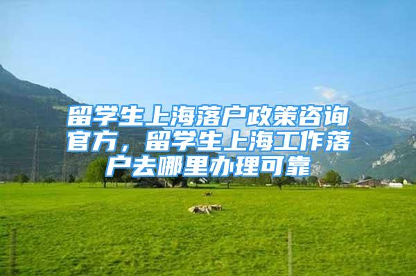 留学生上海落户政策咨询官方，留学生上海工作落户去哪里办理可靠