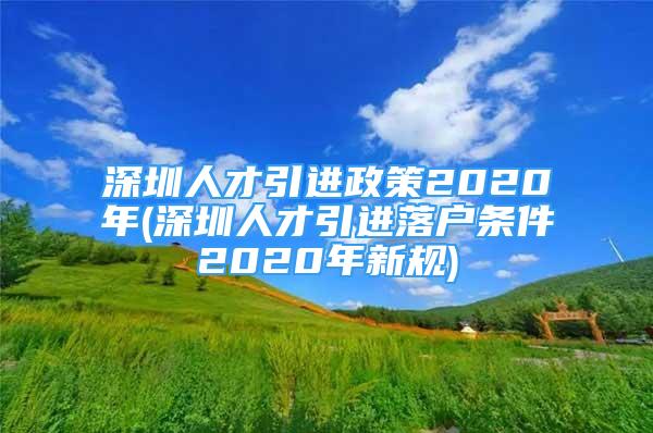 深圳人才引进政策2020年(深圳人才引进落户条件2020年新规)
