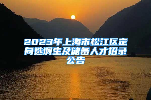 2023年上海市松江区定向选调生及储备人才招录公告