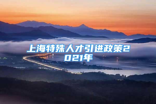 上海特殊人才引进政策2021年