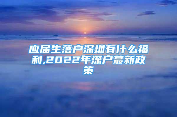 应届生落户深圳有什么福利,2022年深户蕞新政策