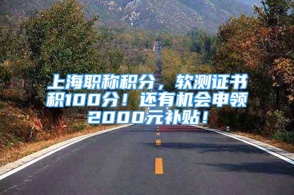 上海职称积分，软测证书积100分！还有机会申领2000元补贴！