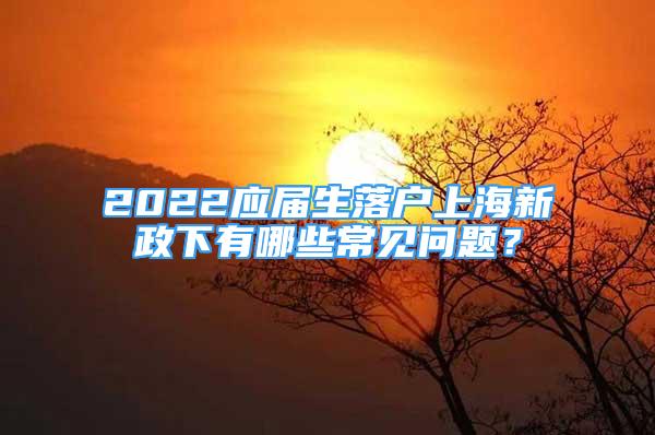 2022应届生落户上海新政下有哪些常见问题？