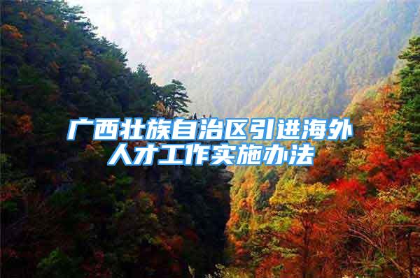 广西壮族自治区引进海外人才工作实施办法
