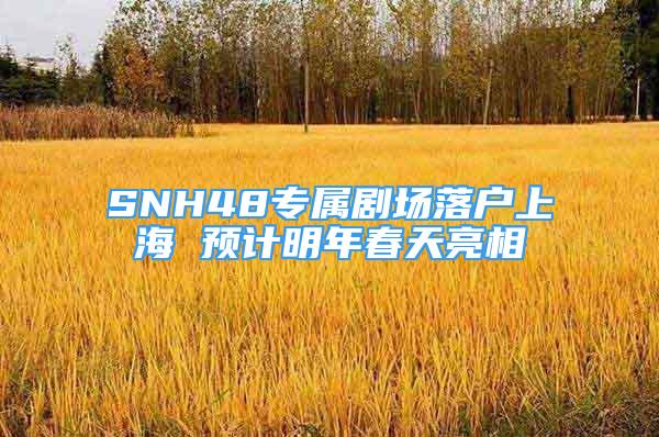 SNH48专属剧场落户上海 预计明年春天亮相