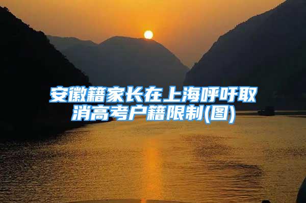 安徽籍家长在上海呼吁取消高考户籍限制(图)