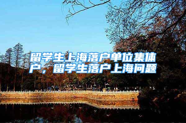留学生上海落户单位集体户，留学生落户上海问题