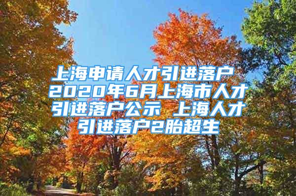 上海申请人才引进落户 2020年6月上海市人才引进落户公示 上海人才引进落户2胎超生