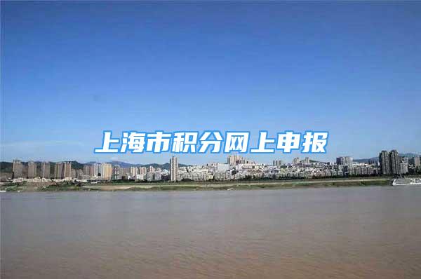 上海市积分网上申报