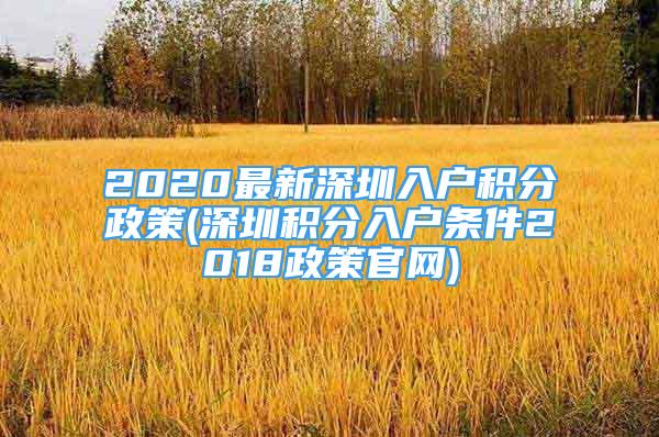2020最新深圳入户积分政策(深圳积分入户条件2018政策官网)