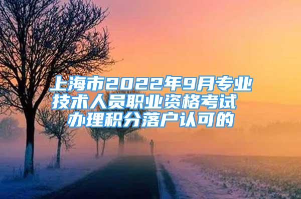 上海市2022年9月专业技术人员职业资格考试 办理积分落户认可的
