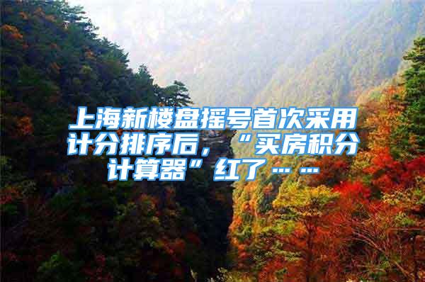 上海新楼盘摇号首次采用计分排序后，“买房积分计算器”红了……