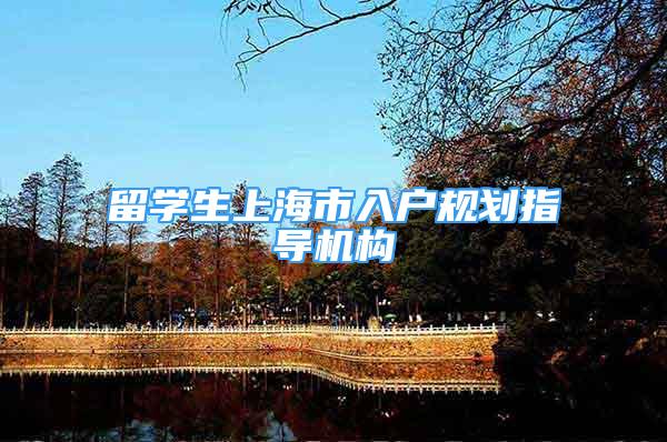 留学生上海市入户规划指导机构