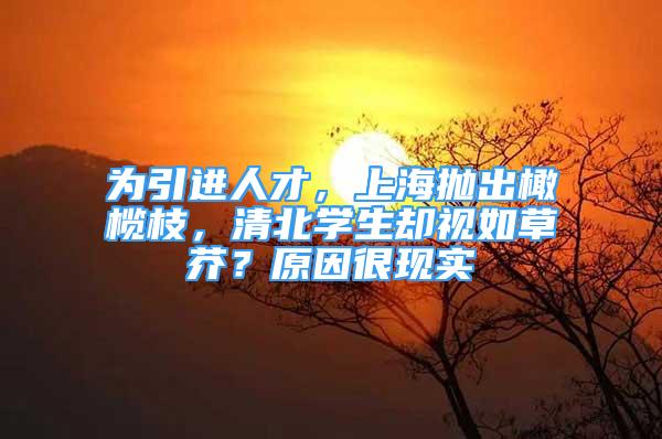 为引进人才，上海抛出橄榄枝，清北学生却视如草芥？原因很现实