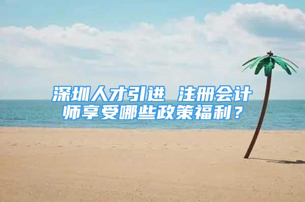 深圳人才引进 注册会计师享受哪些政策福利？