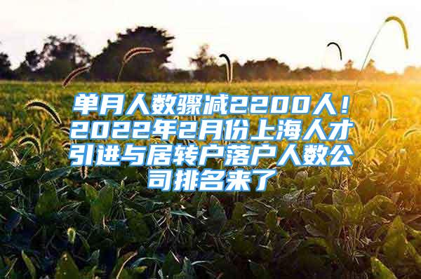 单月人数骤减2200人！2022年2月份上海人才引进与居转户落户人数公司排名来了