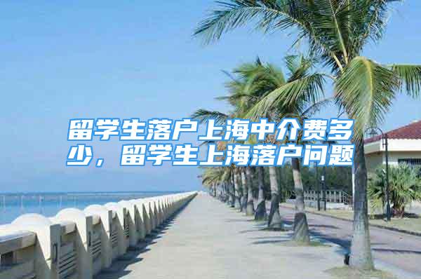 留学生落户上海中介费多少，留学生上海落户问题