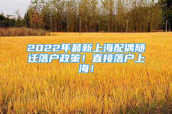 2022年最新上海配偶随迁落户政策！直接落户上海！