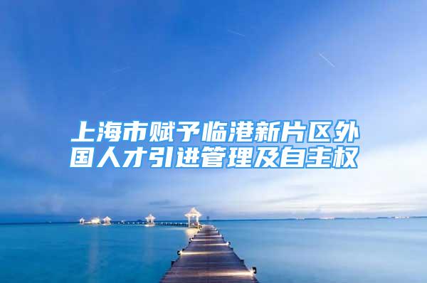 上海市赋予临港新片区外国人才引进管理及自主权