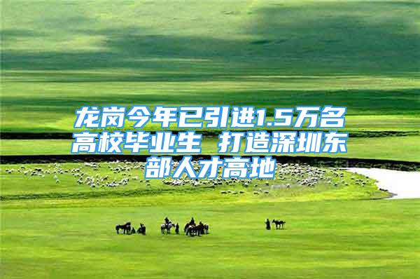 龙岗今年已引进1.5万名高校毕业生 打造深圳东部人才高地