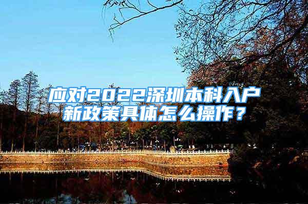 应对2022深圳本科入户新政策具体怎么操作？