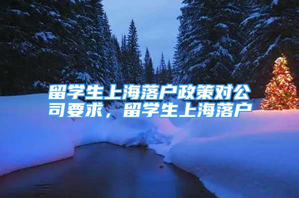 留学生上海落户政策对公司要求，留学生上海落户