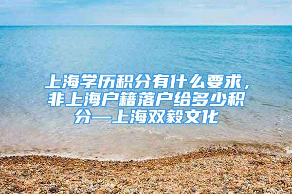 上海学历积分有什么要求，非上海户籍落户给多少积分—上海双毅文化