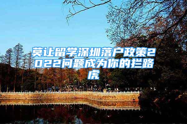 莫让留学深圳落户政策2022问题成为你的拦路虎