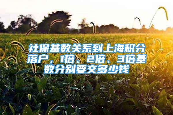 社保基数关系到上海积分落户，1倍、2倍、3倍基数分别要交多少钱