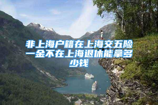 非上海户籍在上海交五险一金不在上海退休能拿多少钱