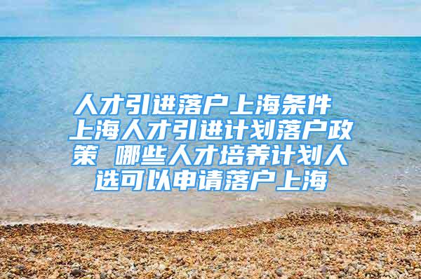 人才引进落户上海条件 上海人才引进计划落户政策 哪些人才培养计划人选可以申请落户上海
