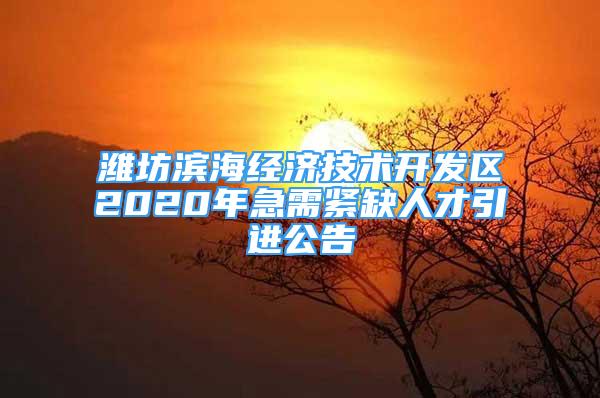 潍坊滨海经济技术开发区2020年急需紧缺人才引进公告