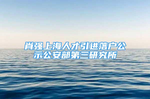 肖强上海人才引进落户公示公安部第三研究所
