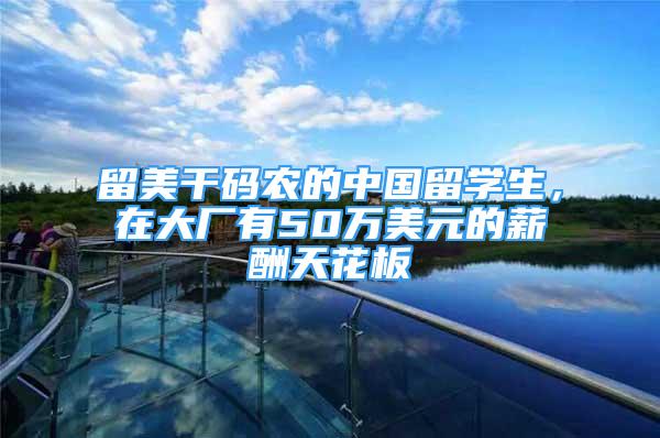 留美干码农的中国留学生，在大厂有50万美元的薪酬天花板