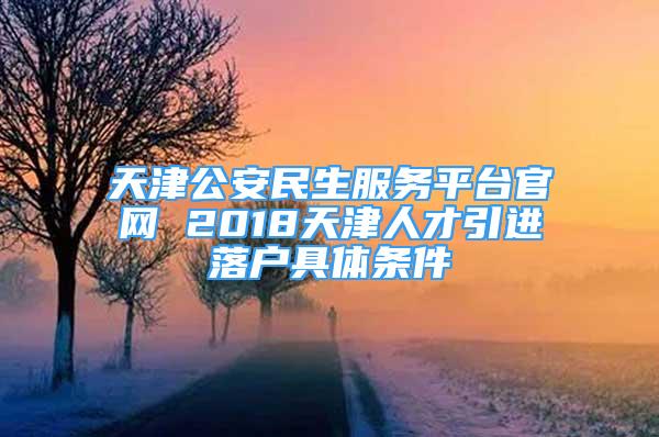 天津公安民生服务平台官网 2018天津人才引进落户具体条件