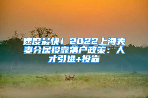 速度最快！2022上海夫妻分居投靠落户政策：人才引进+投靠