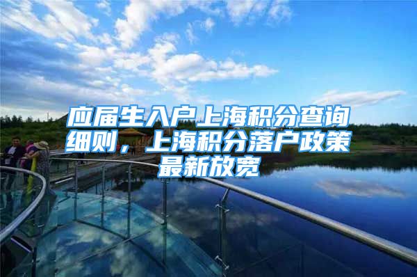 应届生入户上海积分查询细则，上海积分落户政策最新放宽