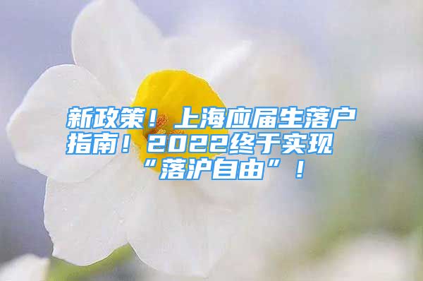 新政策！上海应届生落户指南！2022终于实现“落沪自由”！