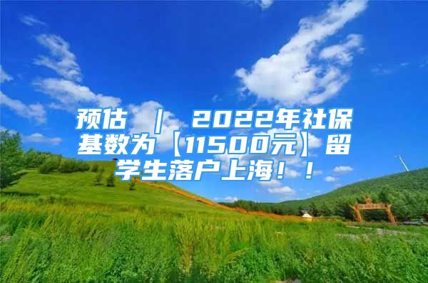 预估 ｜ 2022年社保基数为【11500元】留学生落户上海！！