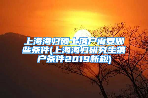 上海海归硕士落户需要哪些条件(上海海归研究生落户条件2019新规)