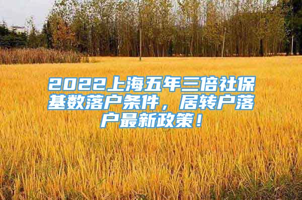 2022上海五年三倍社保基数落户条件，居转户落户最新政策！
