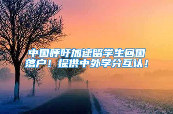 中国呼吁加速留学生回国落户！提供中外学分互认！