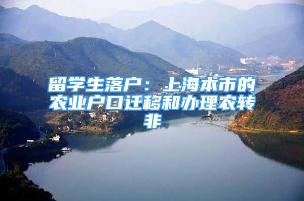 留学生落户：上海本市的农业户口迁移和办理农转非
