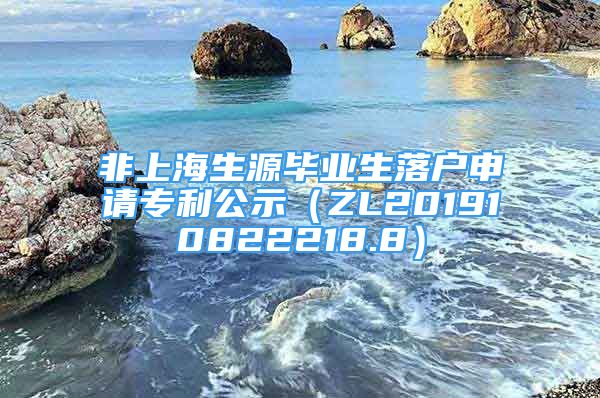 非上海生源毕业生落户申请专利公示（ZL201910822218.8）