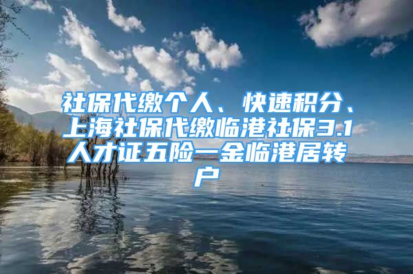 社保代缴个人、快速积分、上海社保代缴临港社保3.1人才证五险一金临港居转户