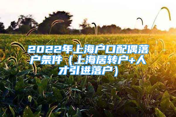 2022年上海户口配偶落户条件（上海居转户+人才引进落户）